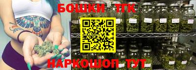 индика Будённовск